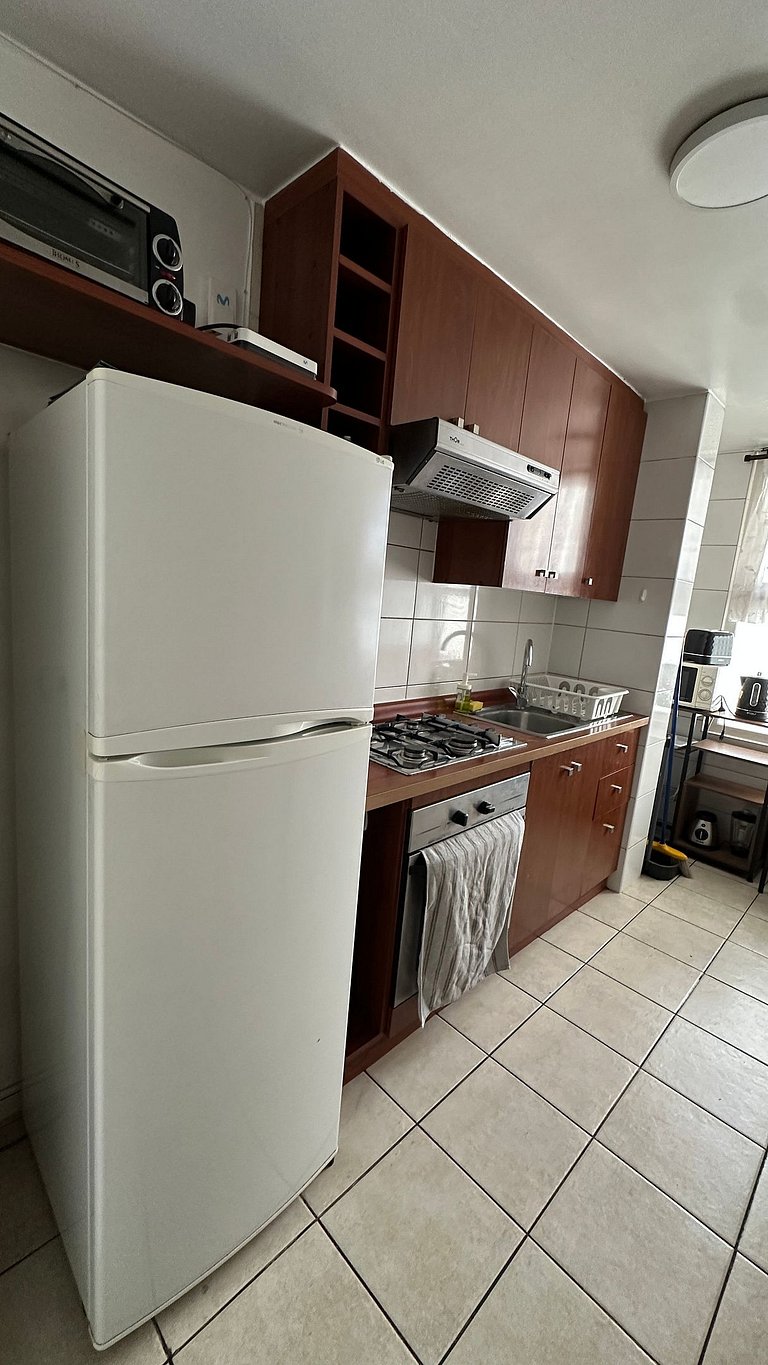 Amplio Depto. 3 dorm. Full equipado centro de Stgo