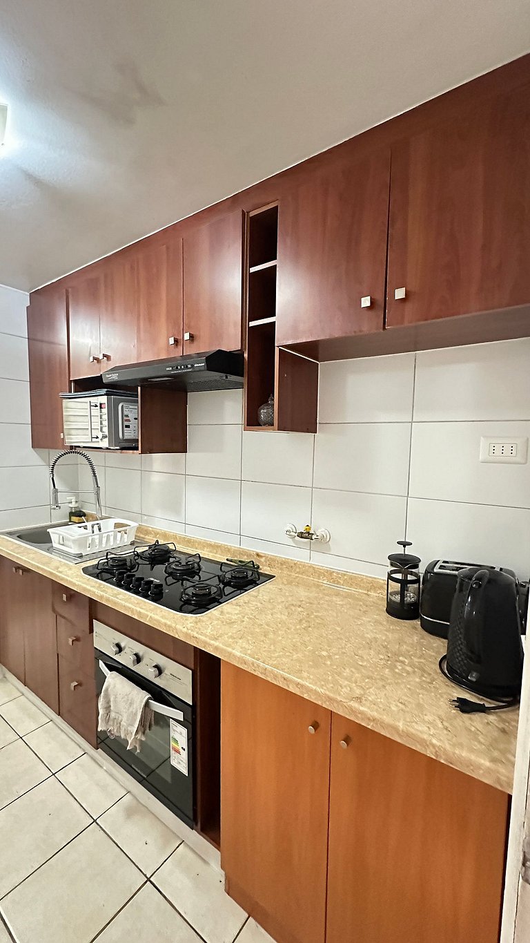 Amplio Depto. 3 dorm. Full equipado centro de Stgo